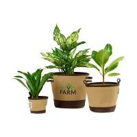 Heritage Supply? Plant, Grow and Store Trio of Pots - Dune