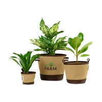Heritage Supply? Plant, Grow and Store Trio of Pots - Dune