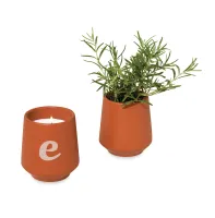 Modern Sprout Rooted Candle - Sienna-Rosemary