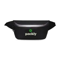 Lunar Waist Pack - Black