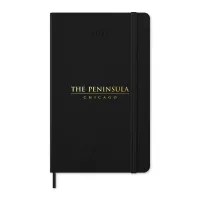 Moleskine Hard Cover Large 12-Month Daily 2027 Planner - Black