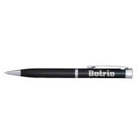 Amesbury Pen