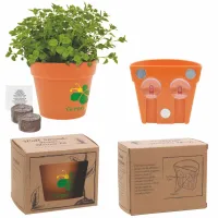 Wall Sprouts Planter Blossom Kit w/Seeds & Planter