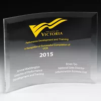 Laser Engraved Freestanding Curved Award (5"x 7"x 1/4")