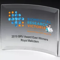 Freestanding Curved Award w/4-Color Process (6"x 8"x 1/4")