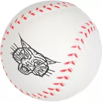 Baseball Stress Reliever