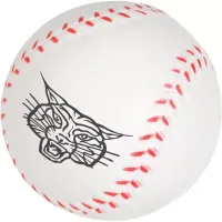 Baseball Stress Reliever