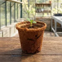 CoCo Planter Kit