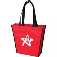 Small Handy Tote Bag