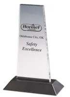 Acrylic 1 Award