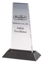 Acrylic 1 Award