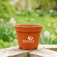 Terra Cotta Wee Planter Kit