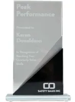 Glass Stone 10 Award
