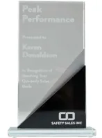 Glass Stone 10 Award