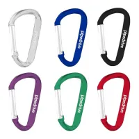 Carabiner Keychain