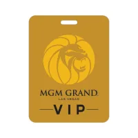 3" x 4" Plastic Identification Badge