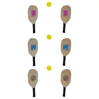 Pickle Ball Set