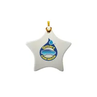 3" Ceramic Star Ornament