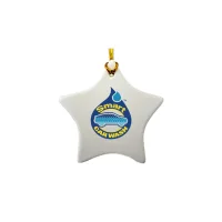 3" Ceramic Star Ornament