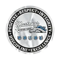 Circle Sticker | 3 1/2" dia. | Chrome Poly | Permanent Adh Back | Screen