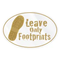 Oval Sticker | 4" x 6"| Clear Poly | Ultra Removable Adh Face | Digital
