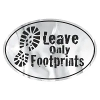 Oval Sticker | 4" x 6"| Chrome Poly | Permanent Adh Back | Screen