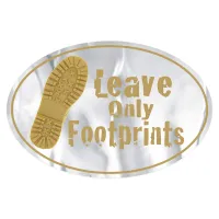 Oval Sticker | 4" x 6"| Chrome Poly | Permanent Adh Back | Digital