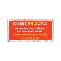 Rectangle Sticker | Round Corners | 1 1/2" x 3"| Chrome Poly | Permanent Adh Back | Screen