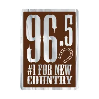 Rectangle Sticker | Round Corners | 2 1/2" x 3 1/2"| Chrome Poly | Permanent Adh Back | Screen