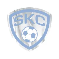 Shield Sticker | 3" x 3"| Chrome Poly | Permanent Adh Back | Screen