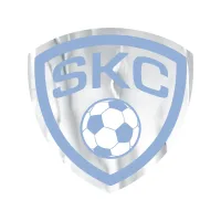 Shield Sticker | 3" x 3"| Chrome Poly | Permanent Adh Back | Screen