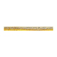 Rectangle Sticker | Square Corner | 1 1/2" x 18" | Chrome Poly | Permanent Adh Back | Digital
