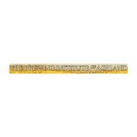 Rectangle Sticker | Square Corner | 1 1/2" x 18" | Chrome Poly | Permanent Adh Back | Digital