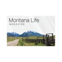 Rectangle Sticker | Square Corner | 2 1/2" x 4" | Clear Poly | Ultra Removable Adh Face | Digital
