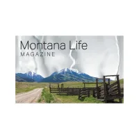 Rectangle Sticker | Square Corner | 2 1/2" x 4" | Chrome Poly | Permanent Adh Back | Digital