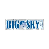 Rectangle Sticker | Square Corner | 1" x 3 3/4" | Chrome Poly | Permanent Adh Back | Screen