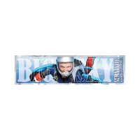 Rectangle Sticker | Square Corner | 1" x 3 3/4" | Chrome Poly | Permanent Adh Back | Digital