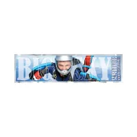 Rectangle Sticker | Square Corner | 1" x 3 3/4" | Chrome Poly | Permanent Adh Back | Digital