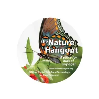 Full Color Digital Sticker | Custom | Die Cut | Clear Poly | Ultra Remov Adh Back | 117-143 Sq In