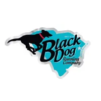 Full Color Digital Sticker | Custom | Die Cut | Chrome Poly | Permanent Adhesive | 176-210 Sq In