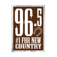 Chrome Polyester Decal | Custom | Square Corner | Permanent Adh | 94 to 116 Sq In