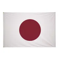 4' x 6' International Flag