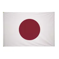 4' x 6' International Flag