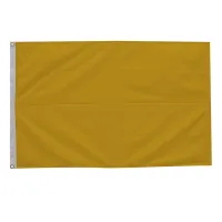 2' x 3' Solid-Color Nylon Flag