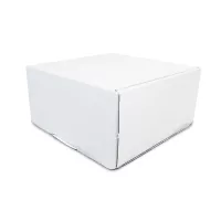 Handout Box (8-1/2"x8-5/8"x4")