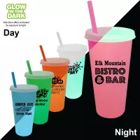 Nite Glow 26 oz. Tumbler with Lid & Straw