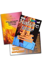 Large Rectangle Magnet (Full Color Digital)