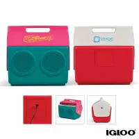 Igloo KoolTunes Cooler