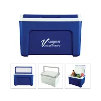 Quinn 18-Can / 13L Hard Cooler