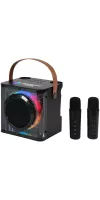 15W Karaoke Wireless Speaker with 2 Mics
